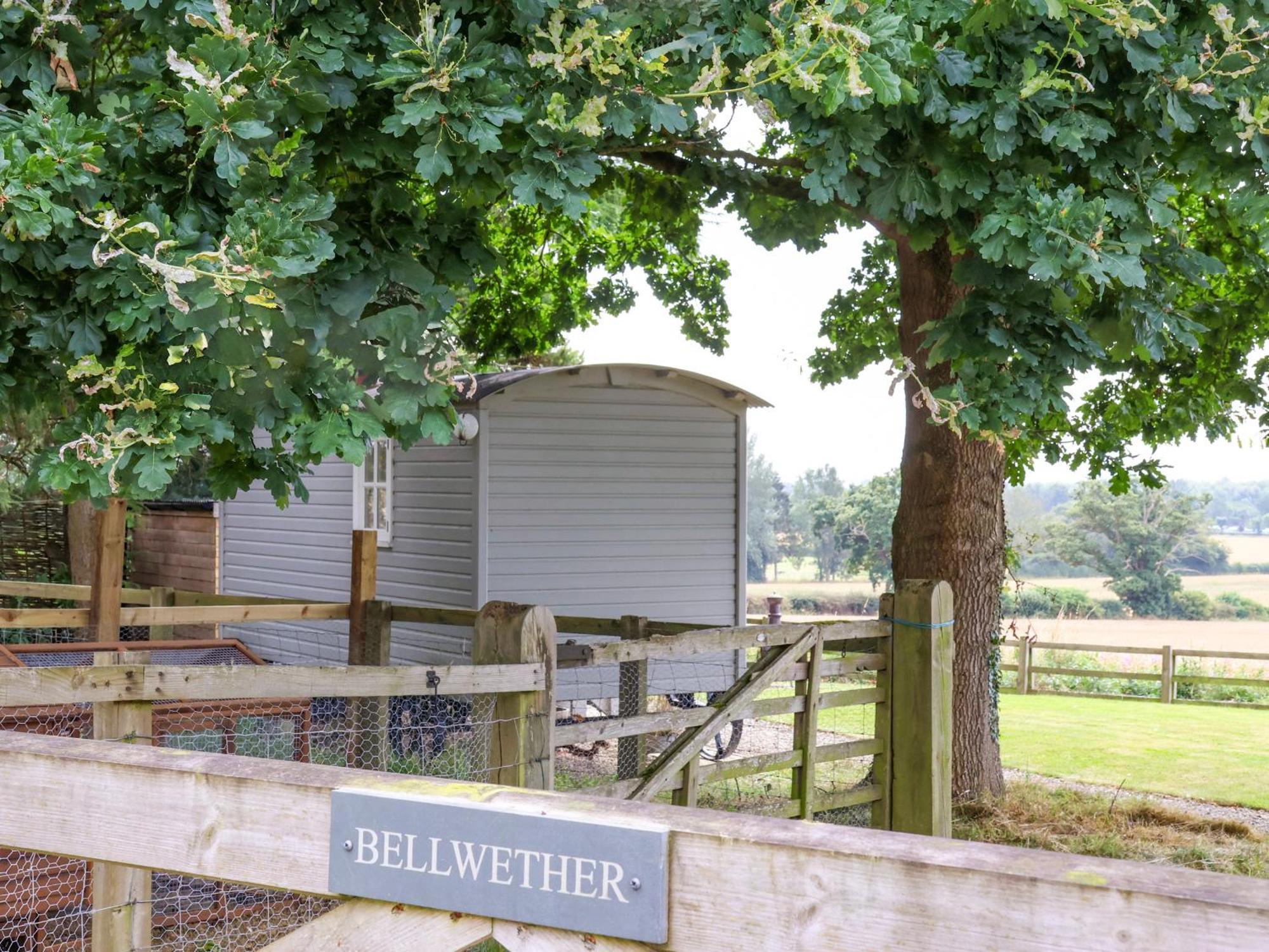Bellwether York Kültér fotó